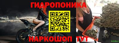 spice Гудермес