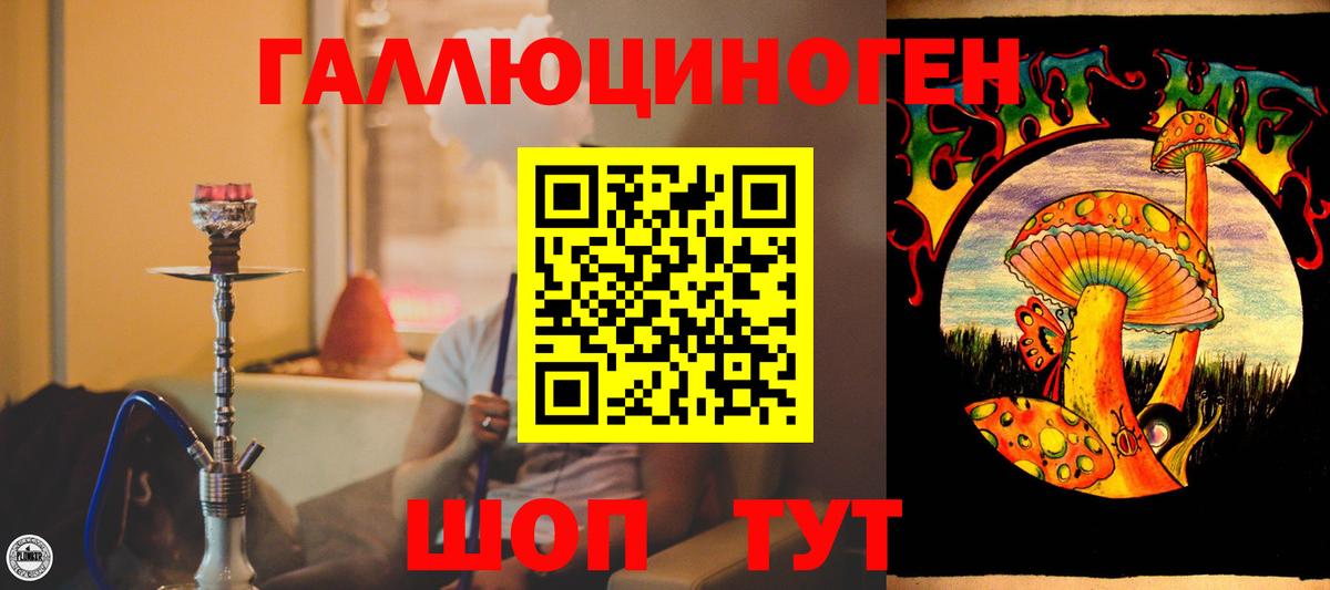 Галлюциногенные грибы прущие грибы  что такое   Вход с VPN  Белорецк  Галлюциногенные грибы Psilocybine cubensis 